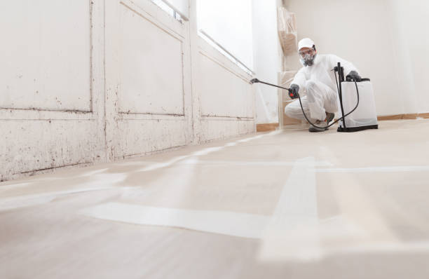 24/7 Emergency Mold Remediation experts in Voorhees, NJ